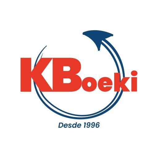 grupo consultor K. BOEKI
